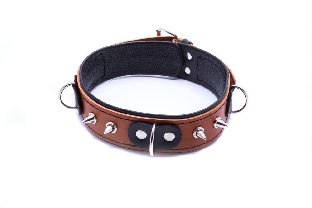 Obroża ze smyczą Whips Collection koniakowa skóra