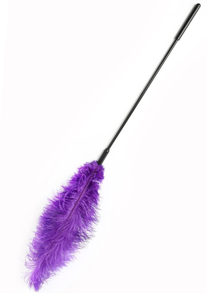 Podwójne piórko do łaskotania Hidden Desire fioletowe 68 cm
