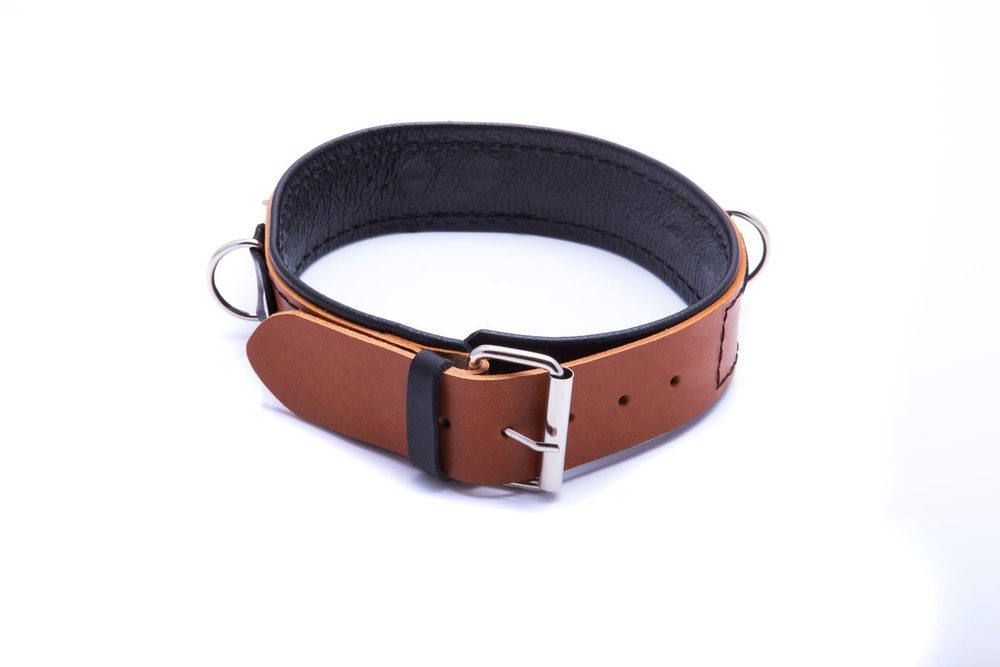 Obroża ze smyczą Whips Collection koniakowa skóra