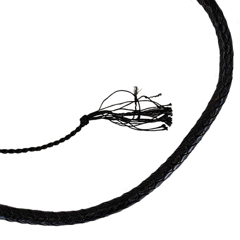 Bicz Prowler RED Turkish Knot Whip 6ft
