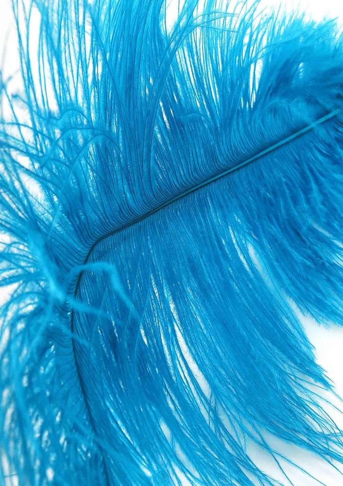 Double Feather Tickler Blue