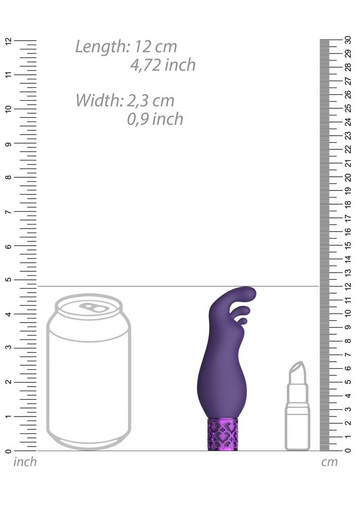 Wibrator bullet Exquisite Royal Gems fioletowy silikonowy USB