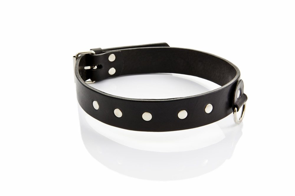 Obroża męska wąska Whips Collection skórzana 3 cm