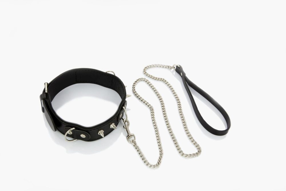 Obroża męska Whips Collection z półkółkami i smyczą