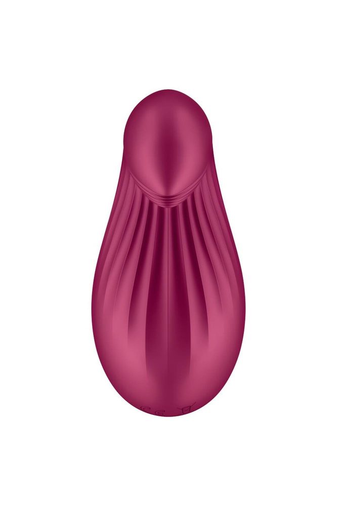 Stymulator łechtaczki Satisfyer Dipping Delight berry USB